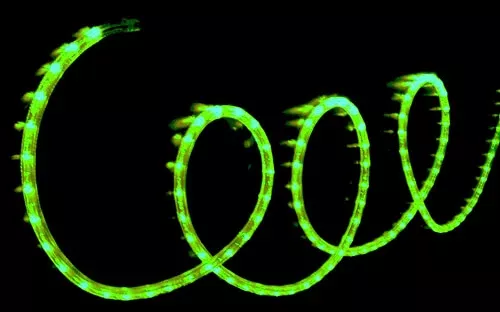 *WHILE SUPPLIES LAST* LED ROPE LIGHTING, 24V,